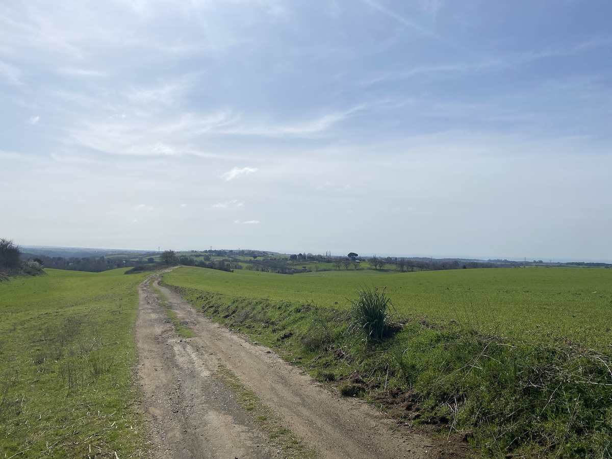 A wide, rutted path between two lush green fields of spring wheat with whispy clouds in a blue sky and, maybe, a silver sliver of sea in the far distance.