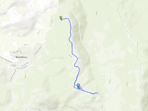 Map of the walk