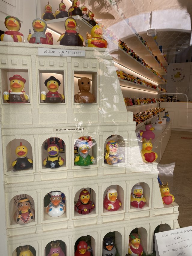 Window display of shop selling only rubber ducks in various incarnations