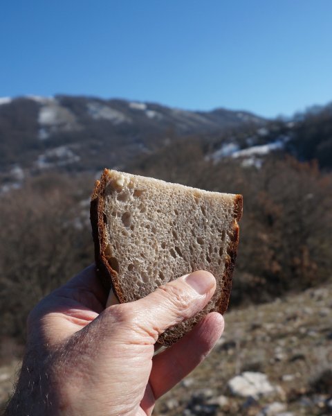 Half a cheese sandwich held up in front of a very blue sky