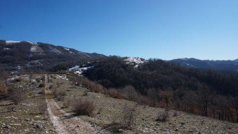 Looking along the track before it dips into the valley to climb up to the ridge
