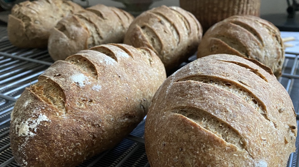Light caraway-seeded rye loaves cooling on a rack