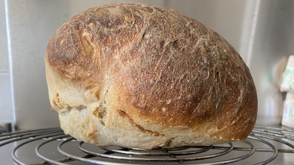 Loaf of bread, well-baked, showing impressive rise thanks to rolling method of shaping