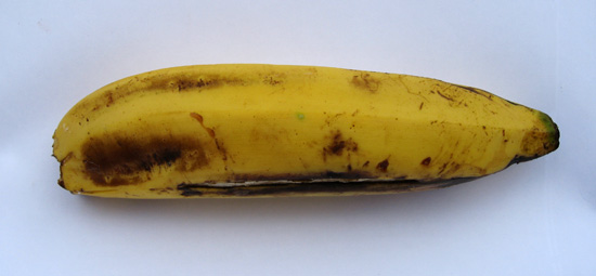 Gros michel banana