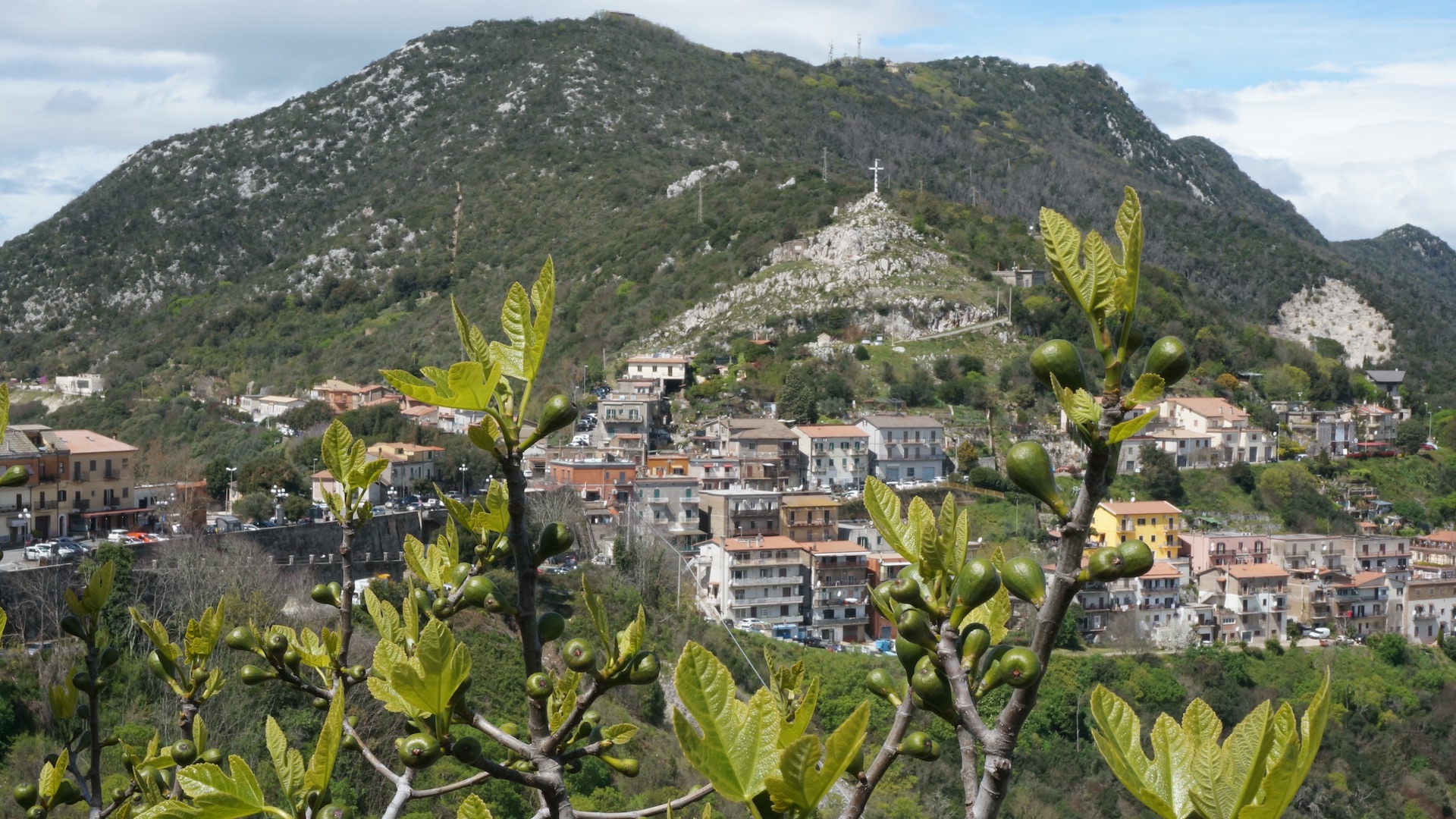 A peak and the town behind more young figs than you can imagine