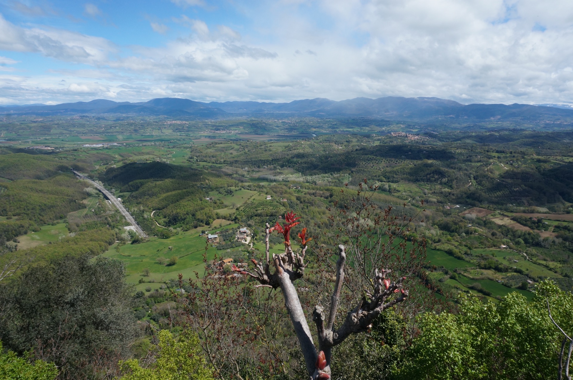 View of distant hills behind just emerging red leaves