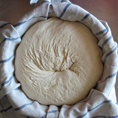 Dough in banneton