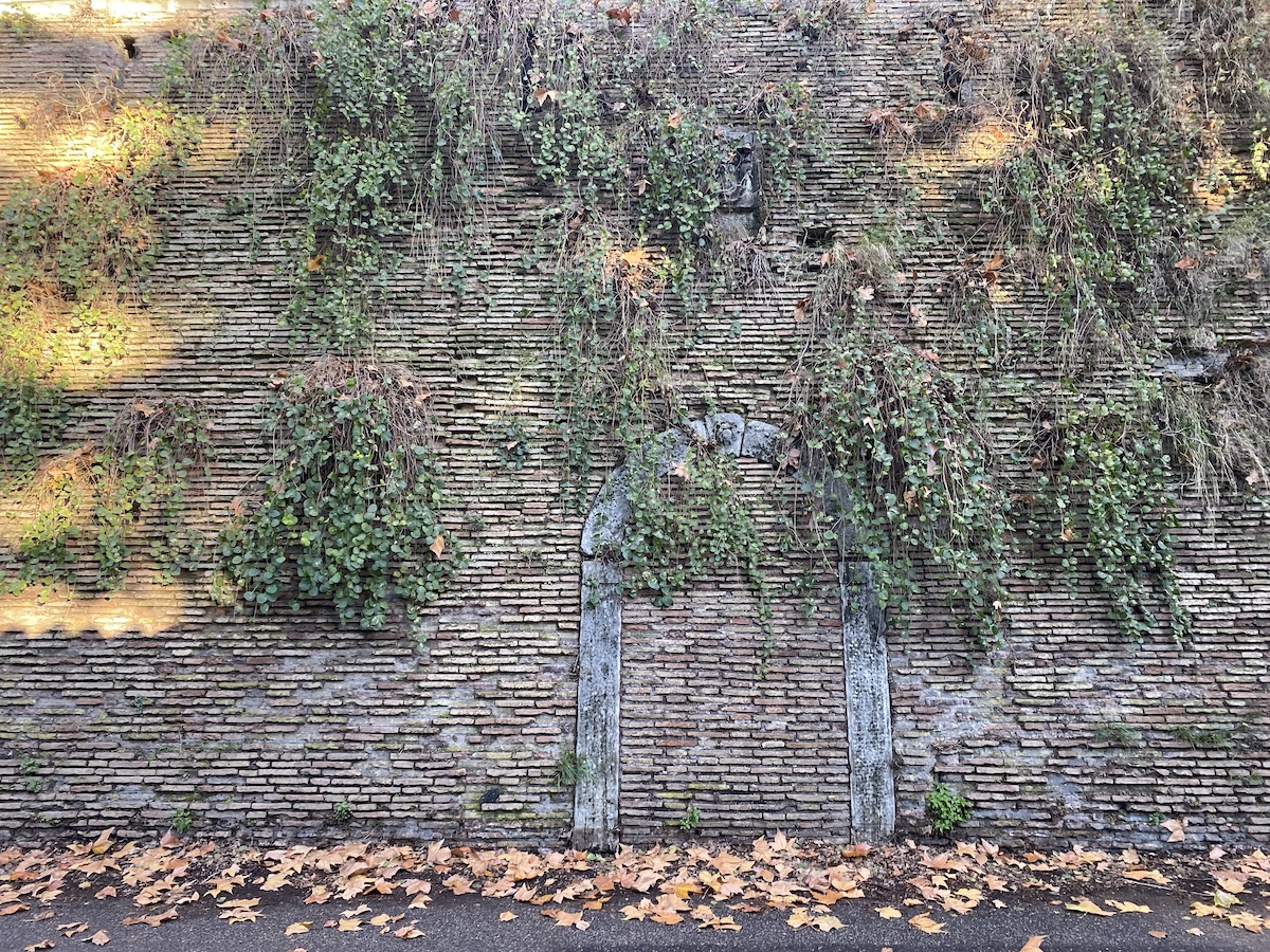 A stone door arch in a tall wall of narrow bricks with many caper plants hanging down. The doorway is also filled with narrow bricks