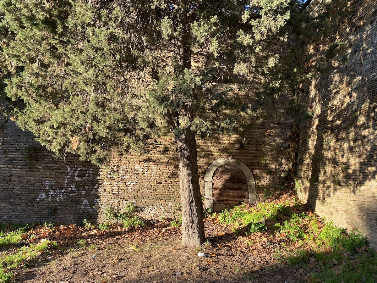 A pine tree casts a shadow on a wall of narrow bricks. Set into the wall is a stone door arch, the doorway filled with similar narrow bricks.