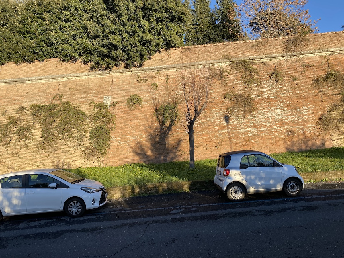 A high wall of narrow bricks behind two parked cars. A small tree casts a shadow on the wall.