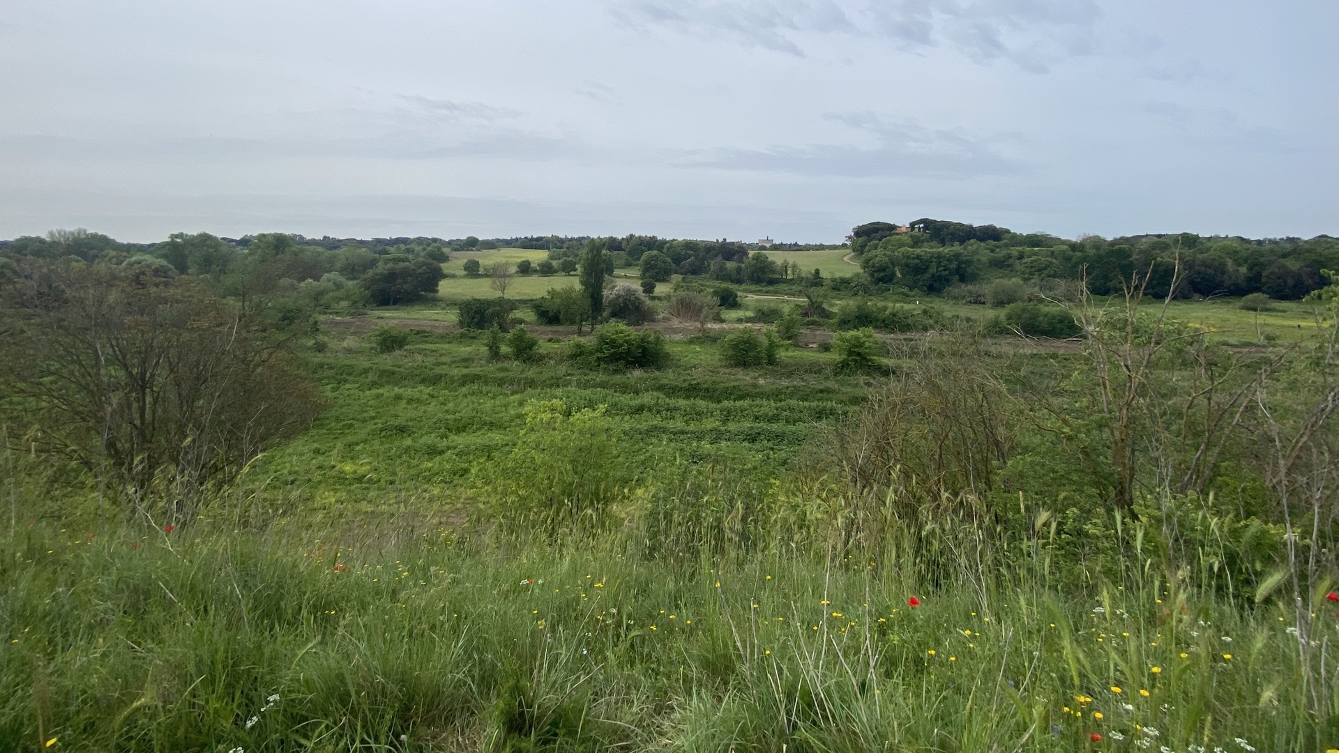 Wide panorama looking south from a high point on the north side of the stream