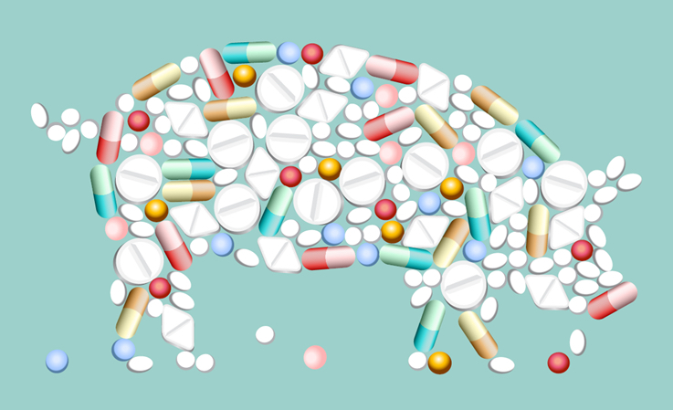 picture of pig made up of pills and capsules