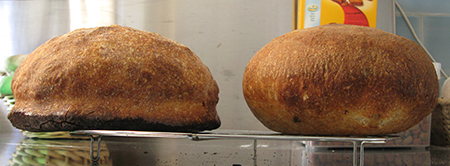 Two loaves side by side seen from the side