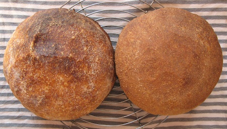 Two loaves side by side seen from above