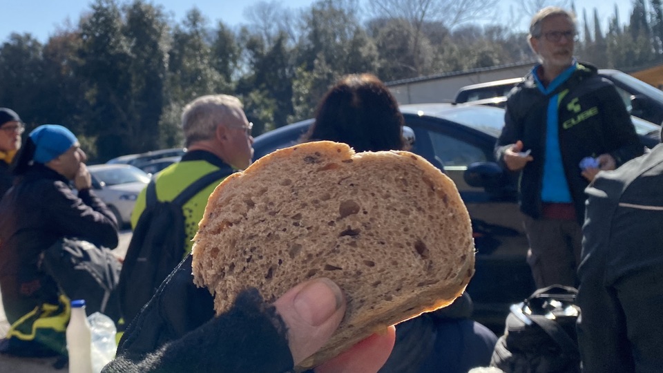 My grubby hand holding my delicious sandwich