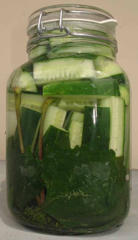 Cucumbers fermenting in a jar