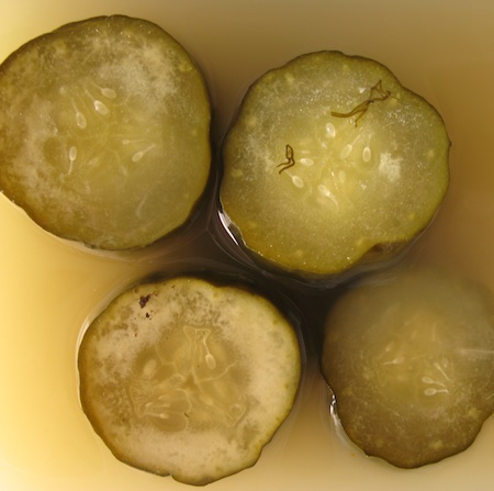 Cross sections of fermented cucumbers