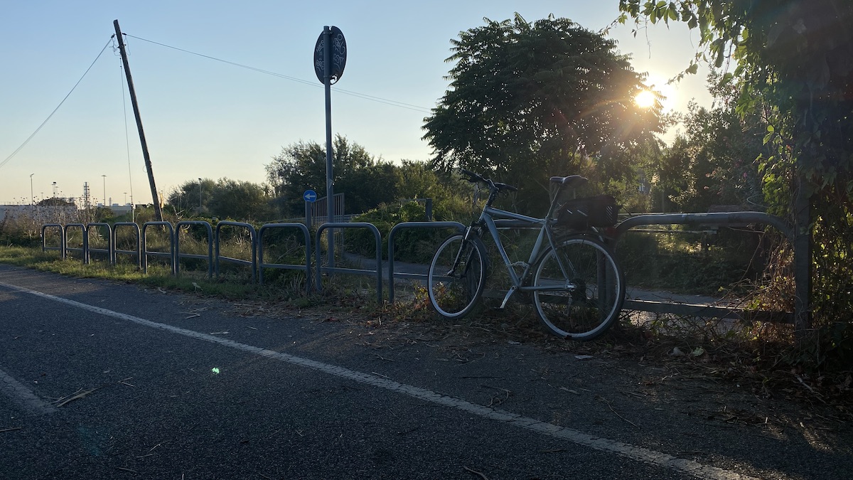 My bicycle leaning against some railings with the sun shining through a tree behind the bike