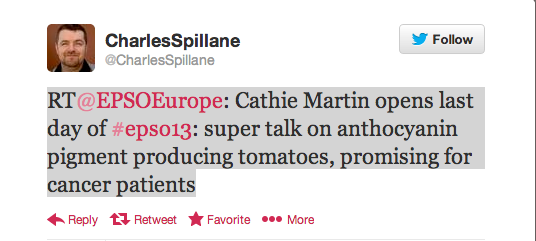 A tweet about purple tomatoes