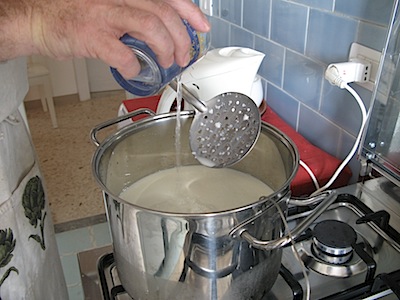 Pouring rennet in a pot of warm milk