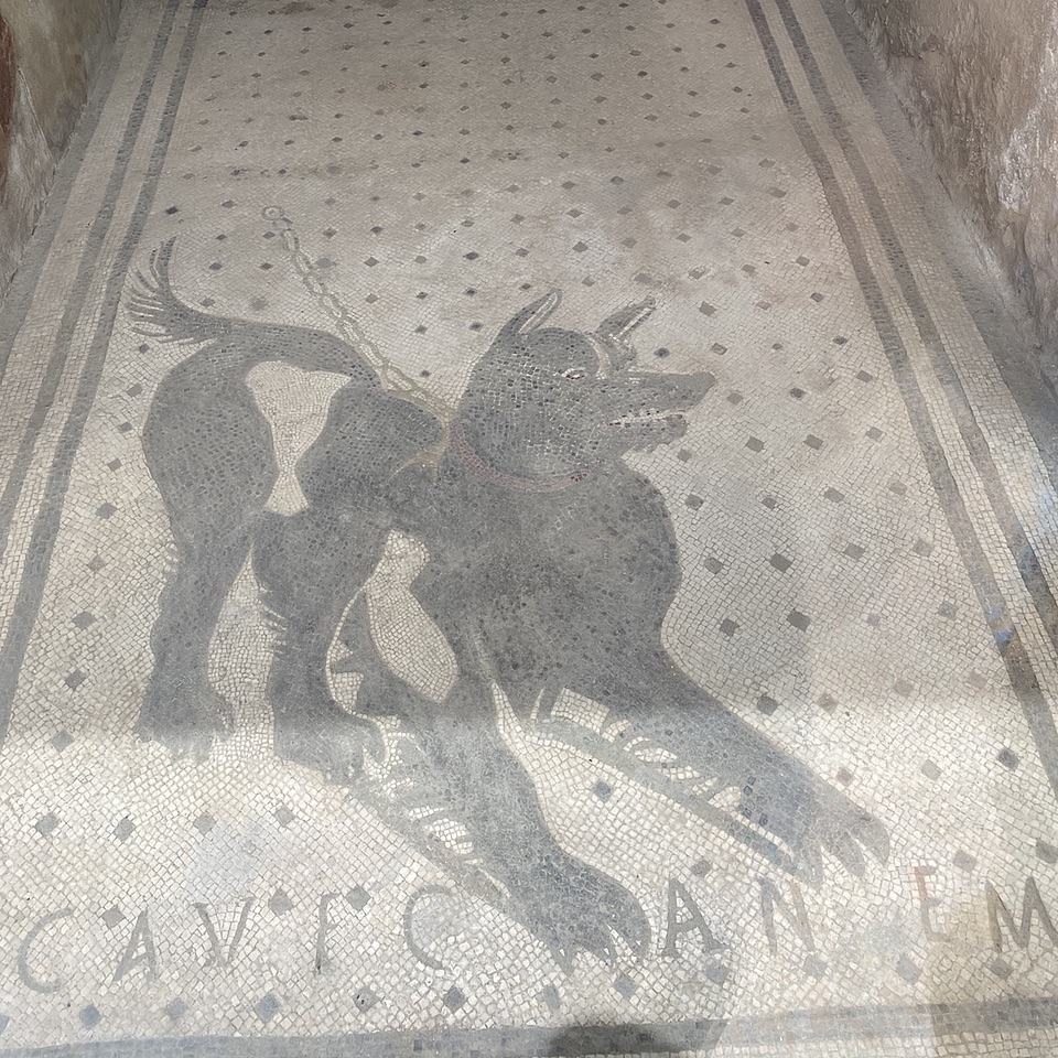 The original cave canem mosaic
