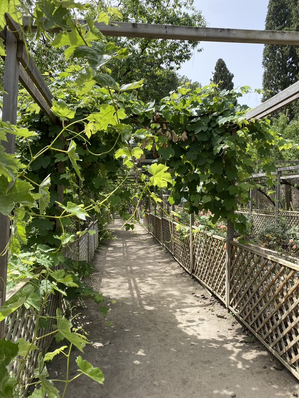 The gardens of Giulia Felice's inheritance