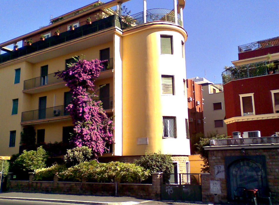 Purple bougainvillea climbing up the outside of a yellow apartment block