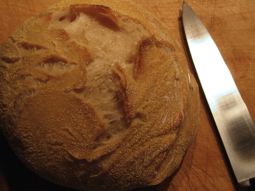 First ever no-knead bread