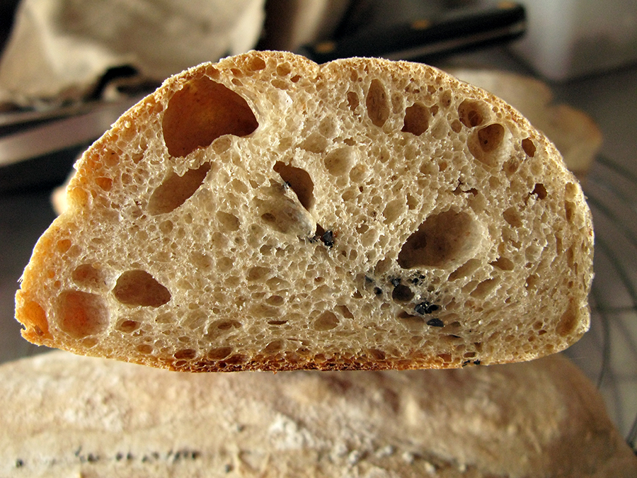 Crumb shot of Pain de Beaucaire