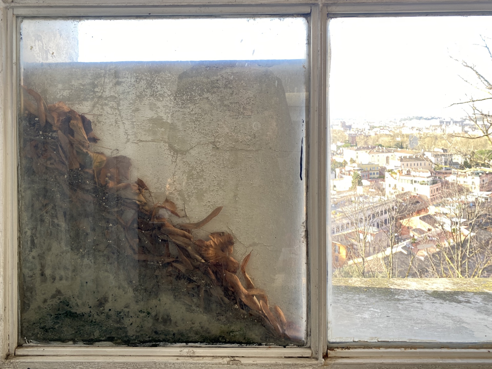 Leaves trapped between the glass of a window and a marble block beyond it