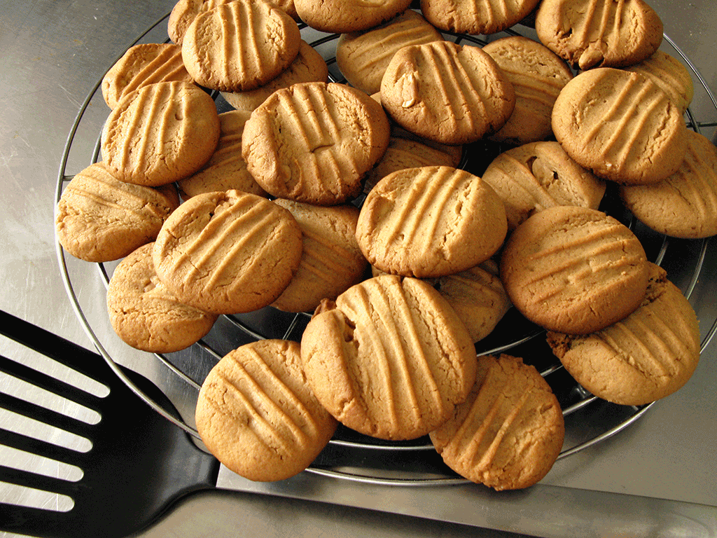 Batch of golden peanut-butter cookies cooling on a rack