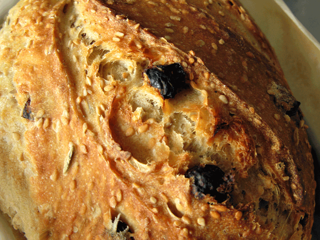 Semolina, sesame, fennel and raisin loaf