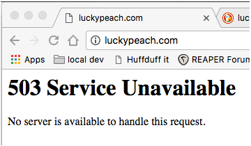 503 error from lucky peach site