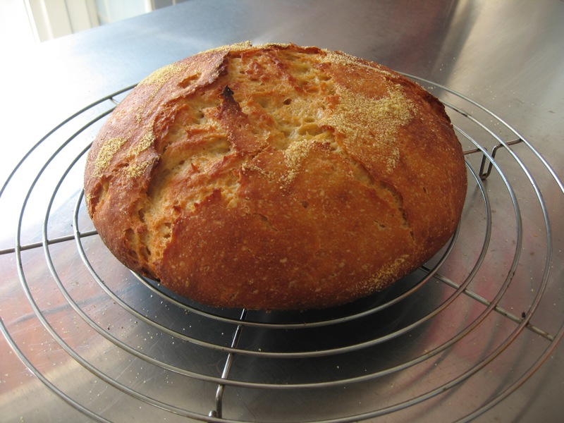 Round loaf with reasonable oven spring resting on a wire rack