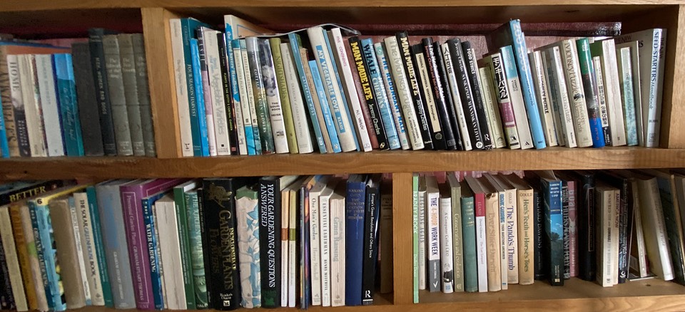 Bookshelves crammed with lots of books