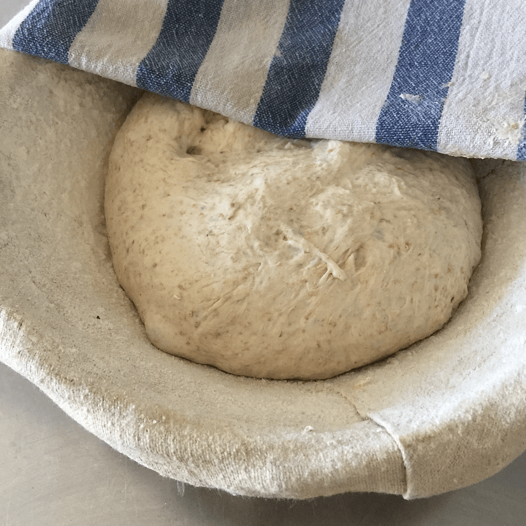 bread dough rising in a banneton