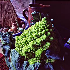A bright green Romanesco broccoli, the fractal vegetable