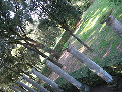 A line of columns alongside a path in the gardens of the Villa Lante