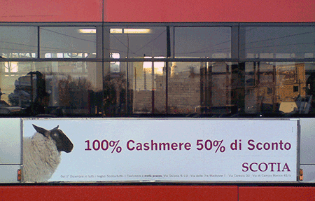 Advert for cashmere on the side of a bus, showing a sheep rather than a goat